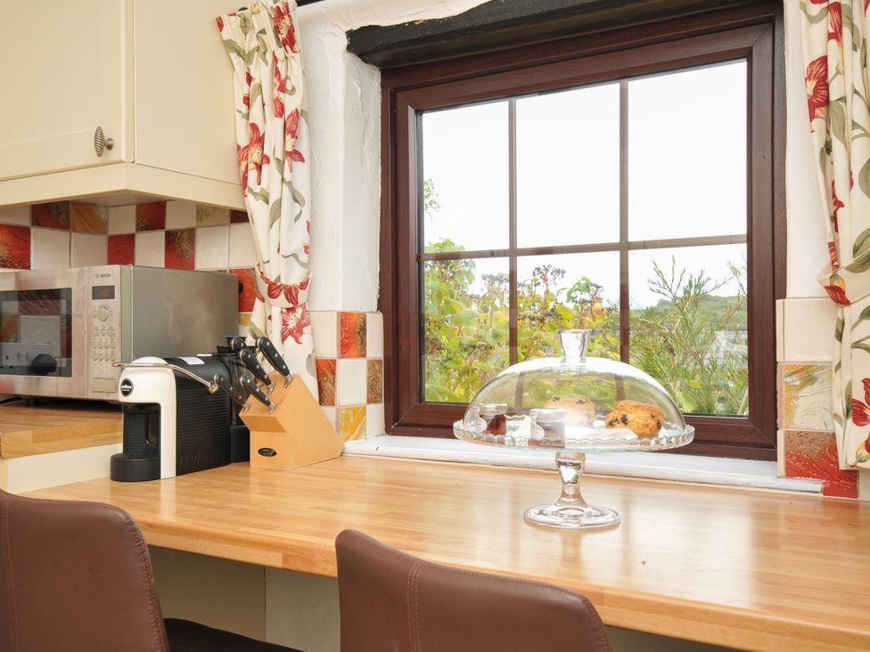 A kitchen with a window overlooking nature at Barley Cottage Hartland