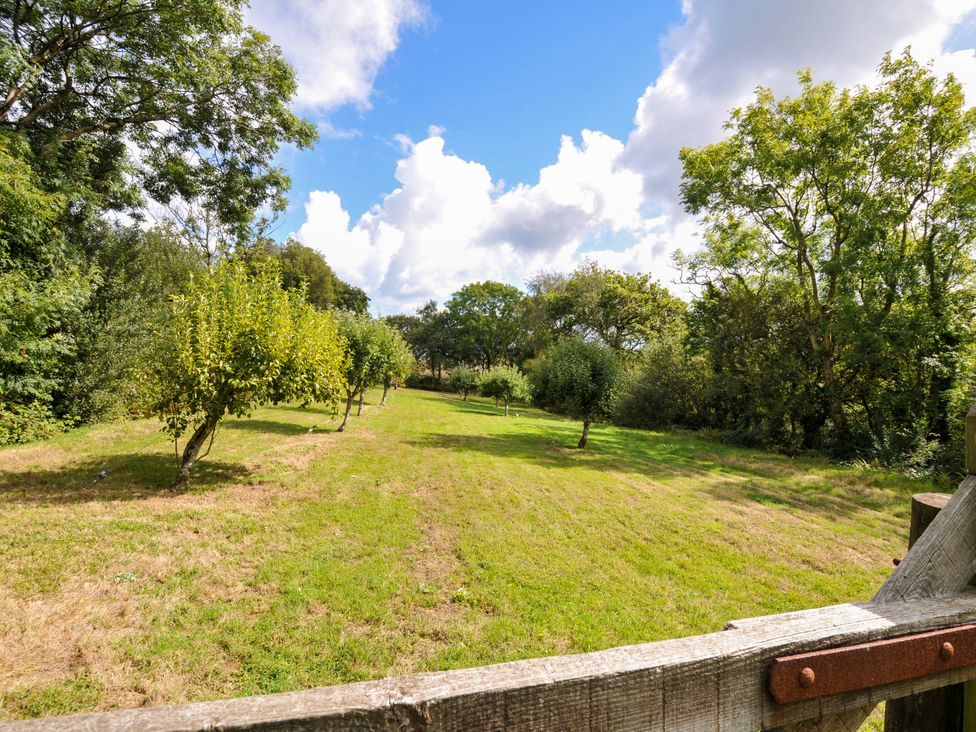 A garden with trees and grass at Barley Cottage in Hartland