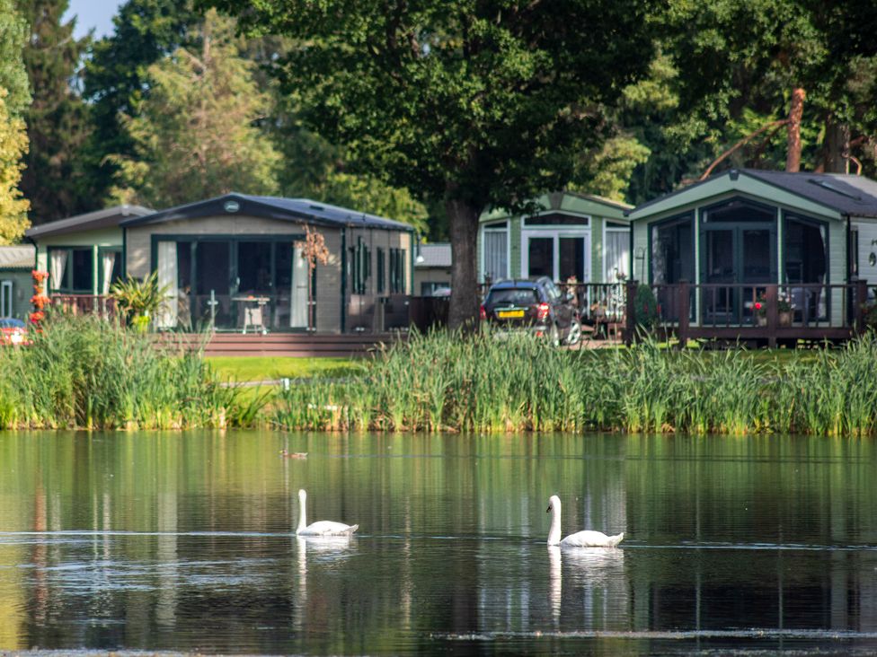 A view of caravans by a lake with swans swimming at Mallard in Shobdon