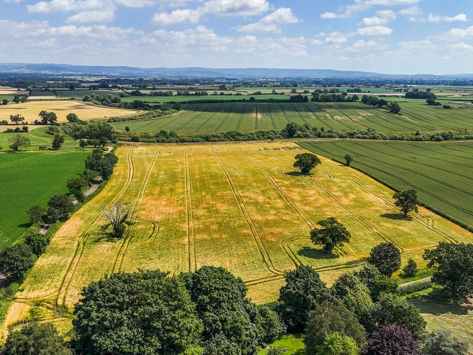 A landscape view of fields and trees at The Feed Room Thirsk