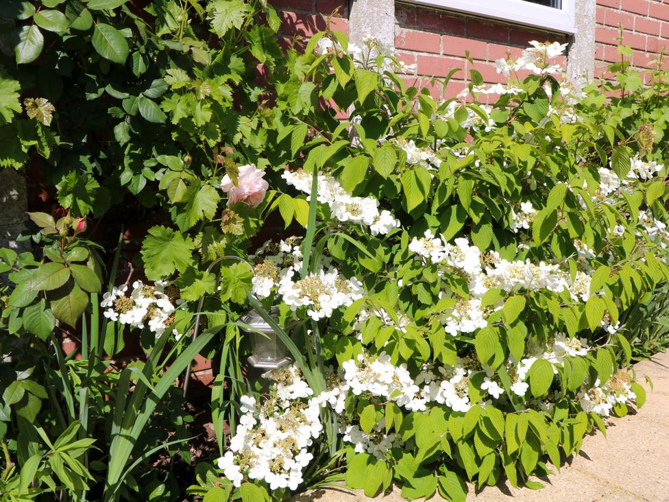 A garden with white and pink flowers against a brick wall at Lavender Cottage in Hailsham