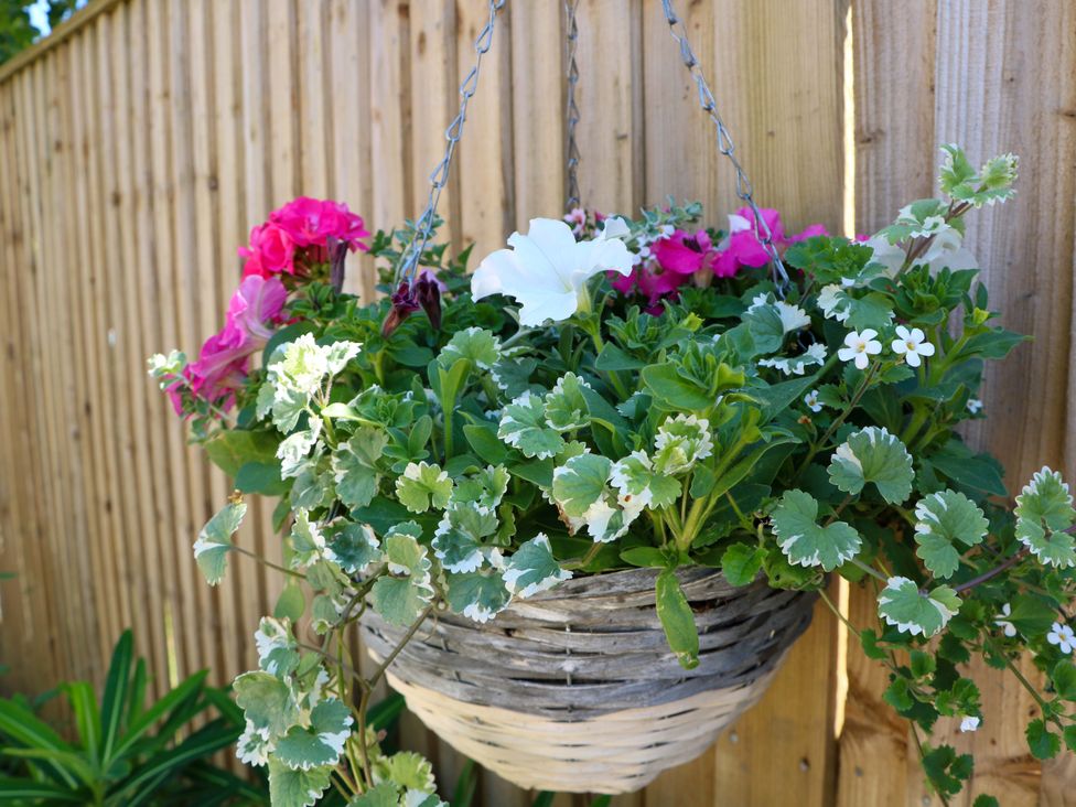 A hanging basket with various green leaves and pink and white flowers in front of a wooden fence at Lavender Cottage in Hailsham