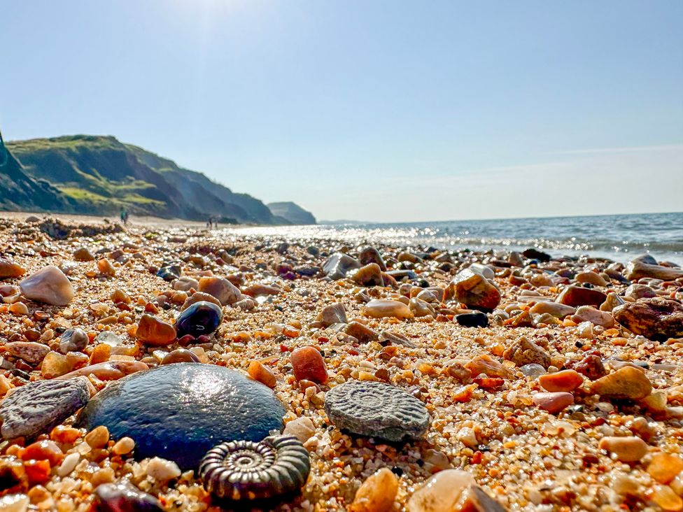 Charmouth Lodge - Dorset - 1142797 - thumbnail photo 46