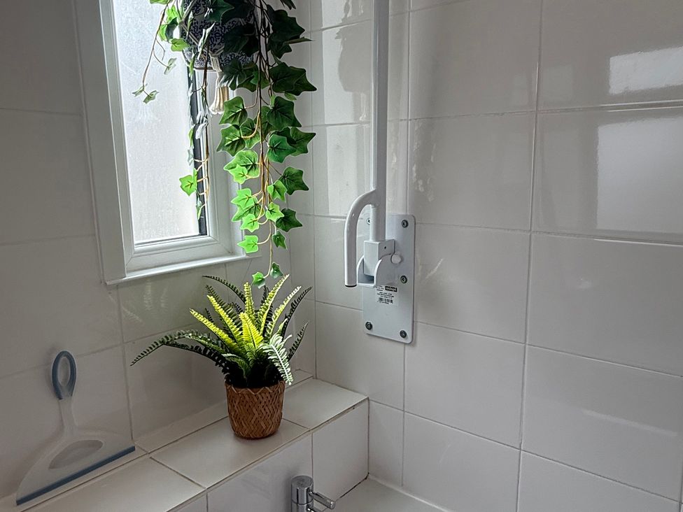 A bathroom with a plant and window at Waves End in Mevagissey