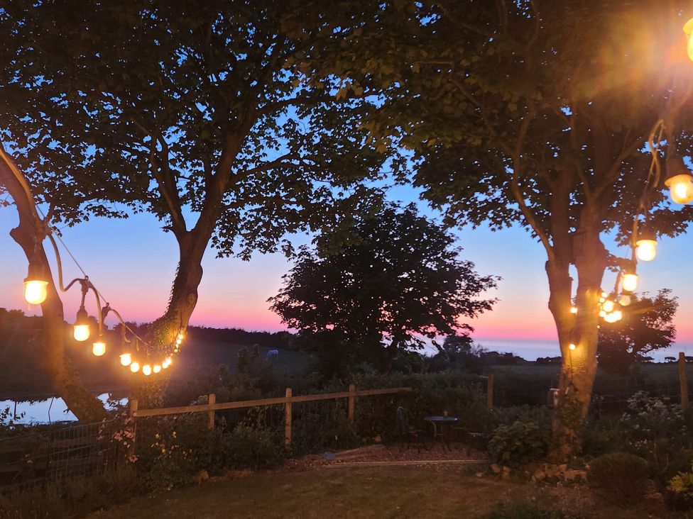 A garden with trees and string lights at Windyridge in Gwaenysgor, near Prestatyn