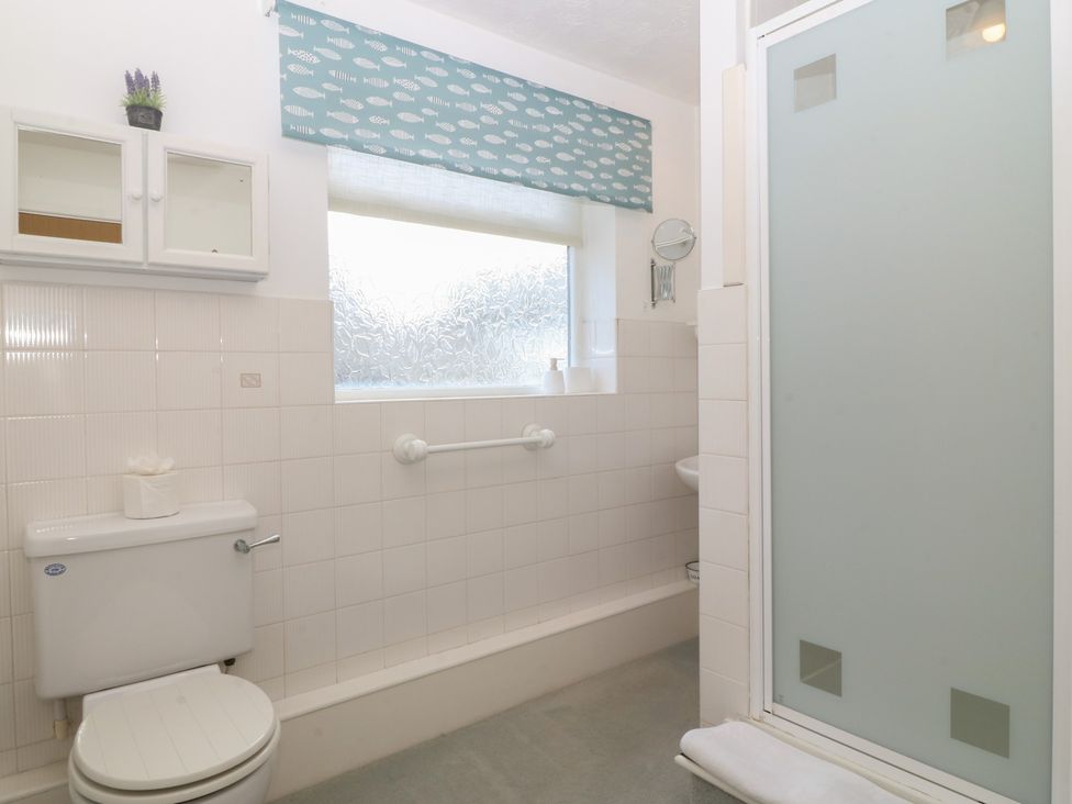 A bathroom with a shower and toilet at Wingelock in Rhosneigr