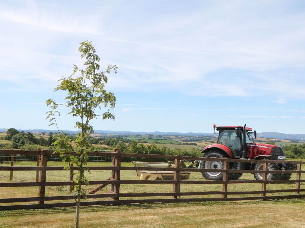 A tractor next to a tree in a field at Harescombe Lodge in Morchard Bishop
