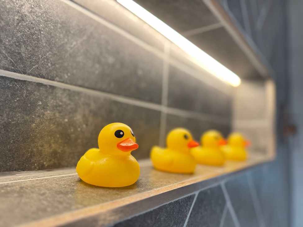 A shelf with rubber ducks in a bathroom at Railway Cottage Penybontfawr
