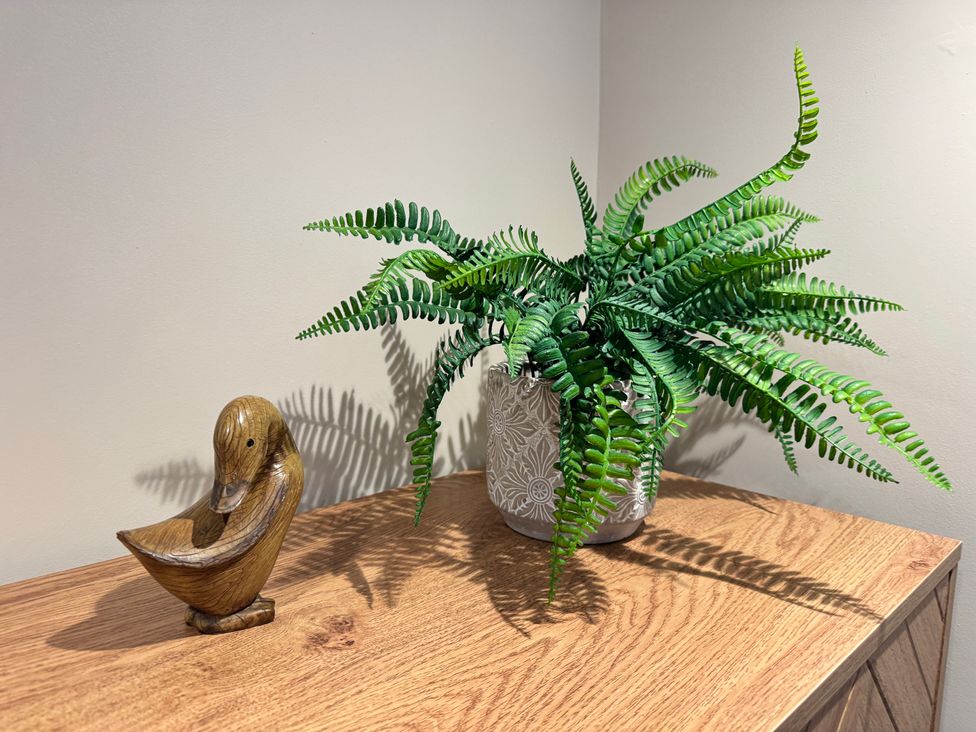 A wooden duck decoration and a fern plant on a wooden surface at Railway Cottage in Penybontfawr