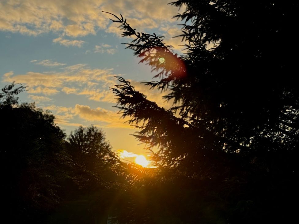A sunset with trees and clouds at Railway Cottage in Penybontfawr