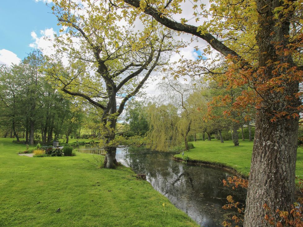 An outdoor space with trees and a river at Pultheley Cottage Hyssington near Churchstoke