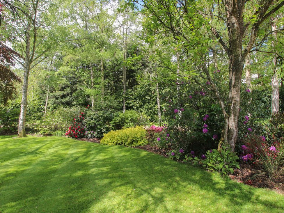 A garden with grass, trees, and flower bushes at Pultheley Cottage Hyssington near Churchstoke