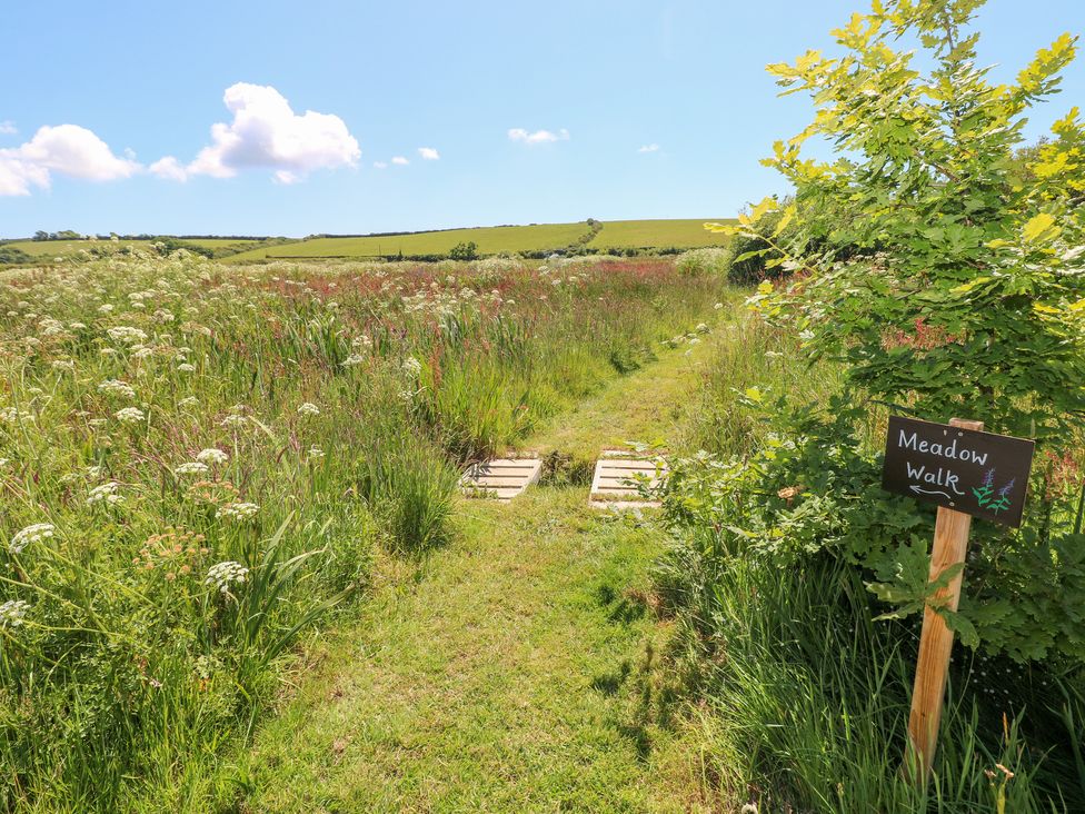 Teasel - South Wales - 1143439 - thumbnail photo 26