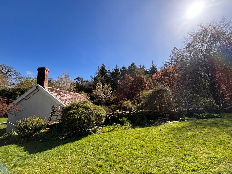 A cottage with chimney and greenery in the garden at Laundry Cottage in Clovelly