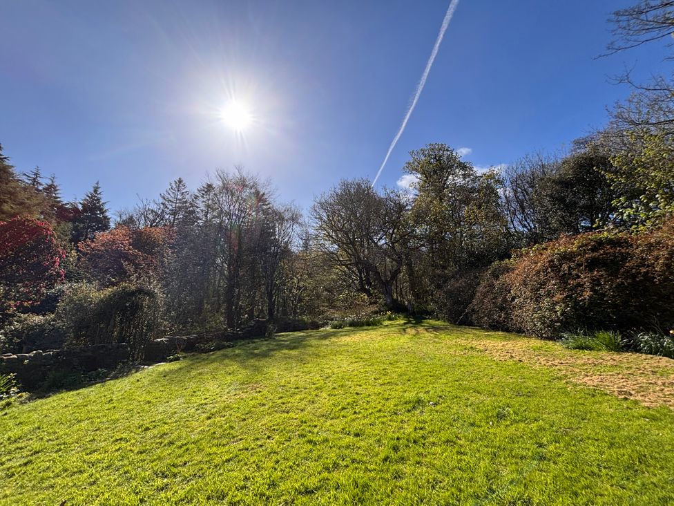 A garden with grass and trees at Laundry Cottage in Clovelly