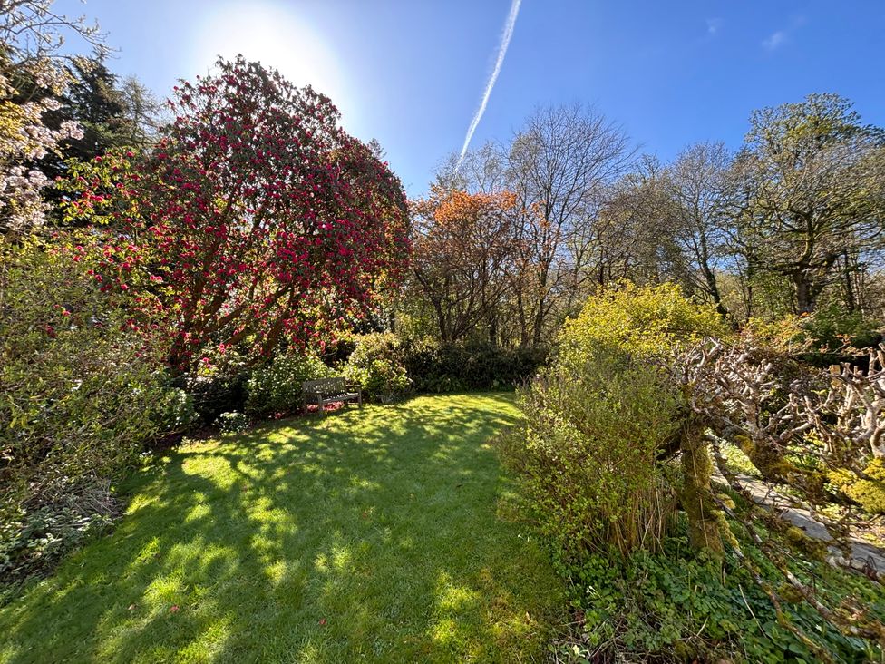 A garden with various plants and a bench at Laundry Cottage in Clovelly