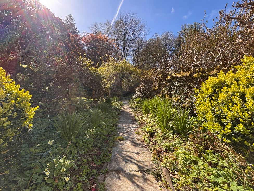 A pathway surrounded by plants and trees at Laundry Cottage in Clovelly
