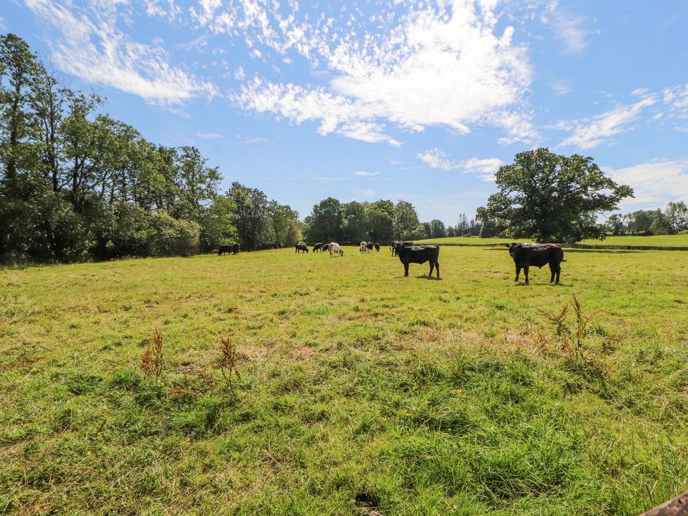 Stang Farm - Lake District - 1144294 - thumbnail photo 58