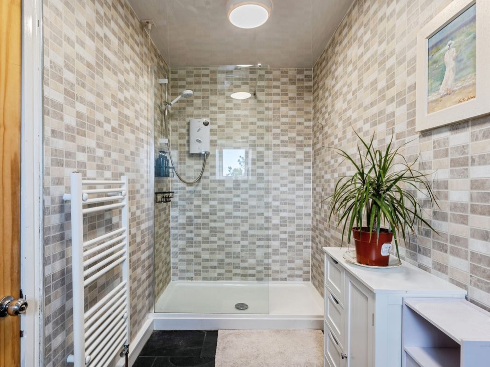 A bathroom with a shower and plant at Rivendell in Ffynnongroyw