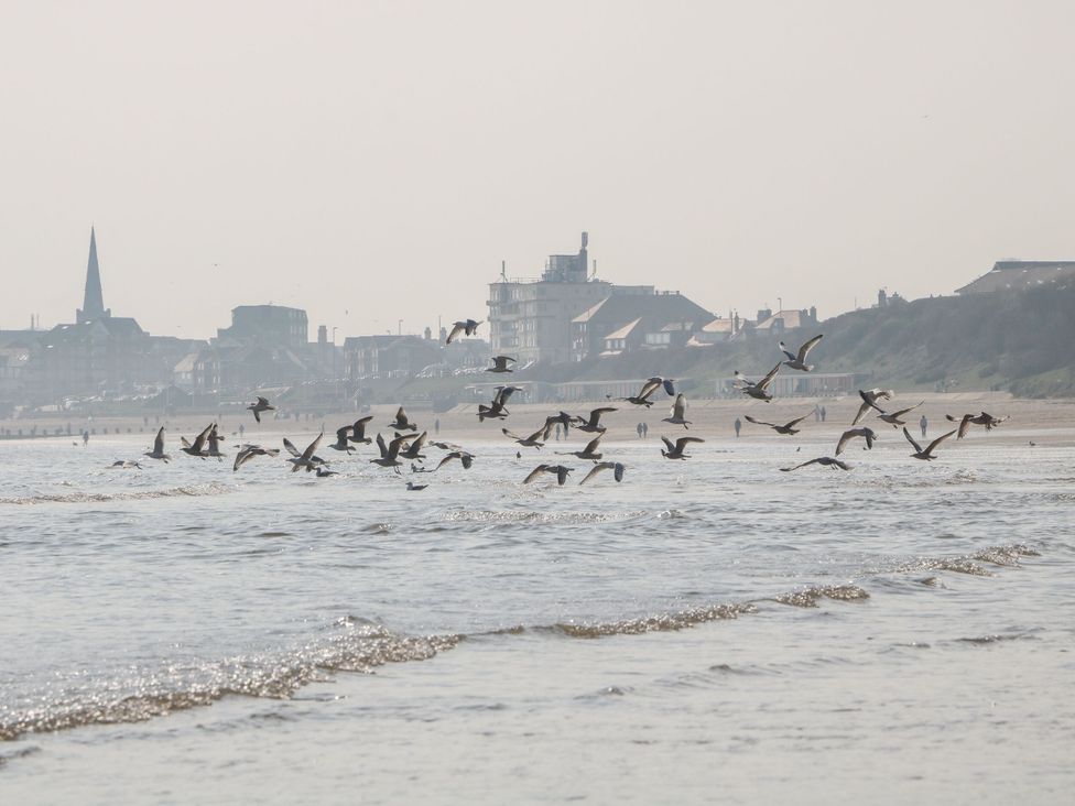 A group of birds flying over water with buildings in the background at Apt 7 @ Hunter's Quay in Bridlington