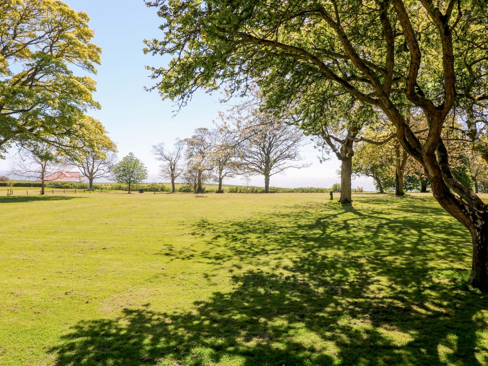 A garden area with grass and trees at Apt 8 @ Hunter's Quay Bridlington