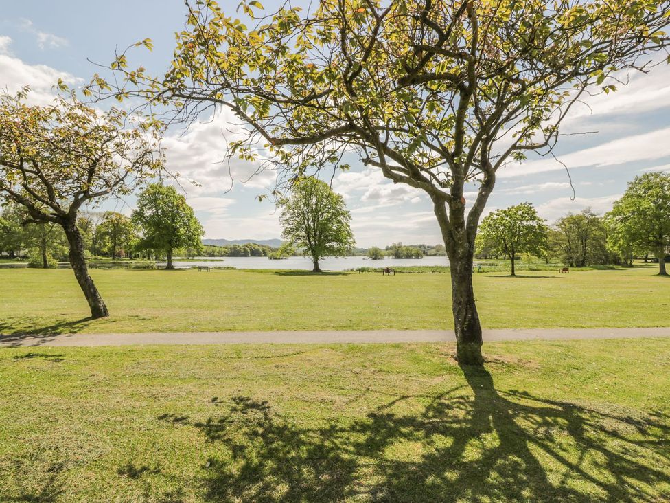 A park with trees and a lake in King's Apartment 