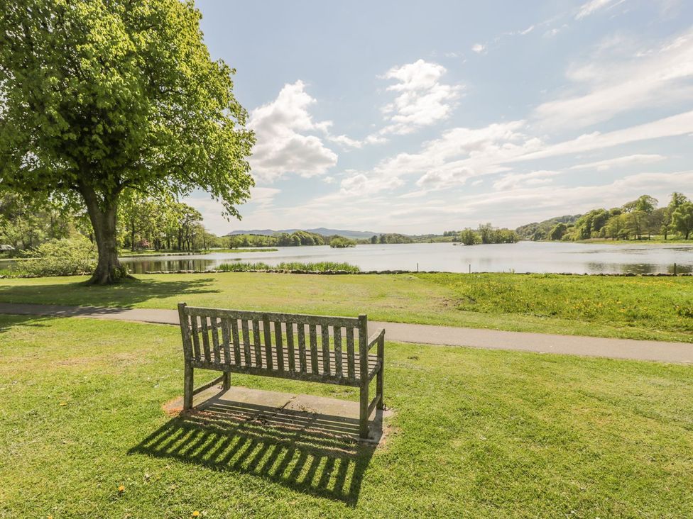 A view of a lake and a bench under a tree at King's Apartment in 