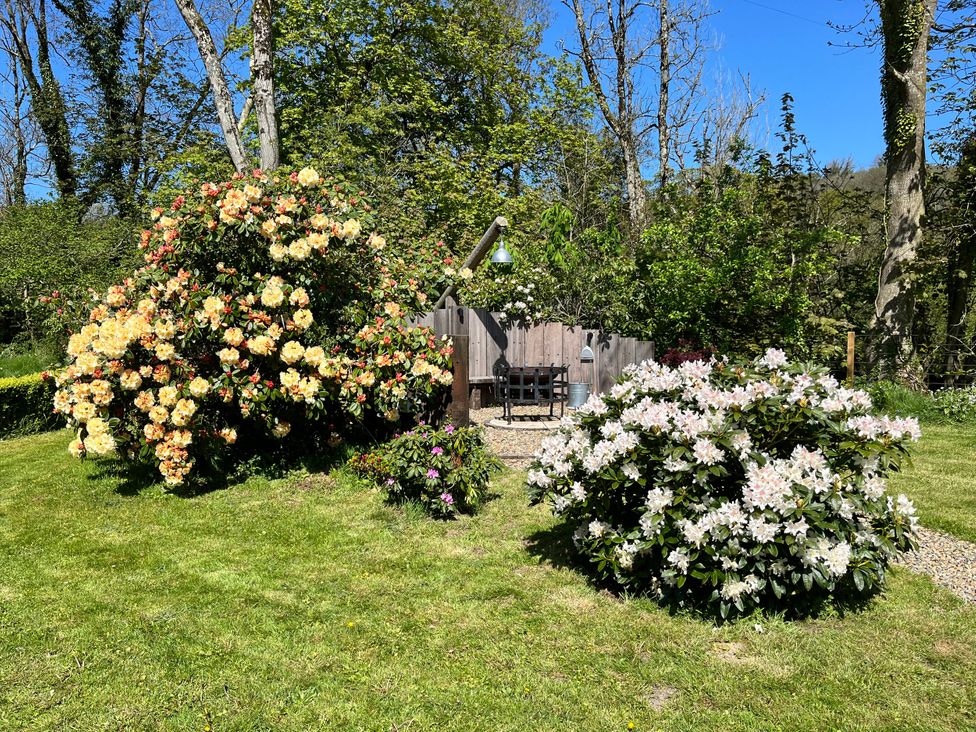 A garden with flowering bushes and outdoor seating at Glas y Dorlan near Newport, Pembrokeshire