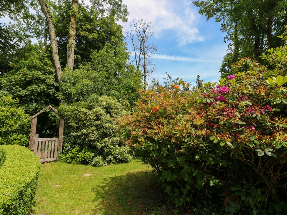 A garden with a wooden gate and flowering bushes at Glas y Dorlan Nevern near Newport, Pembrokeshire