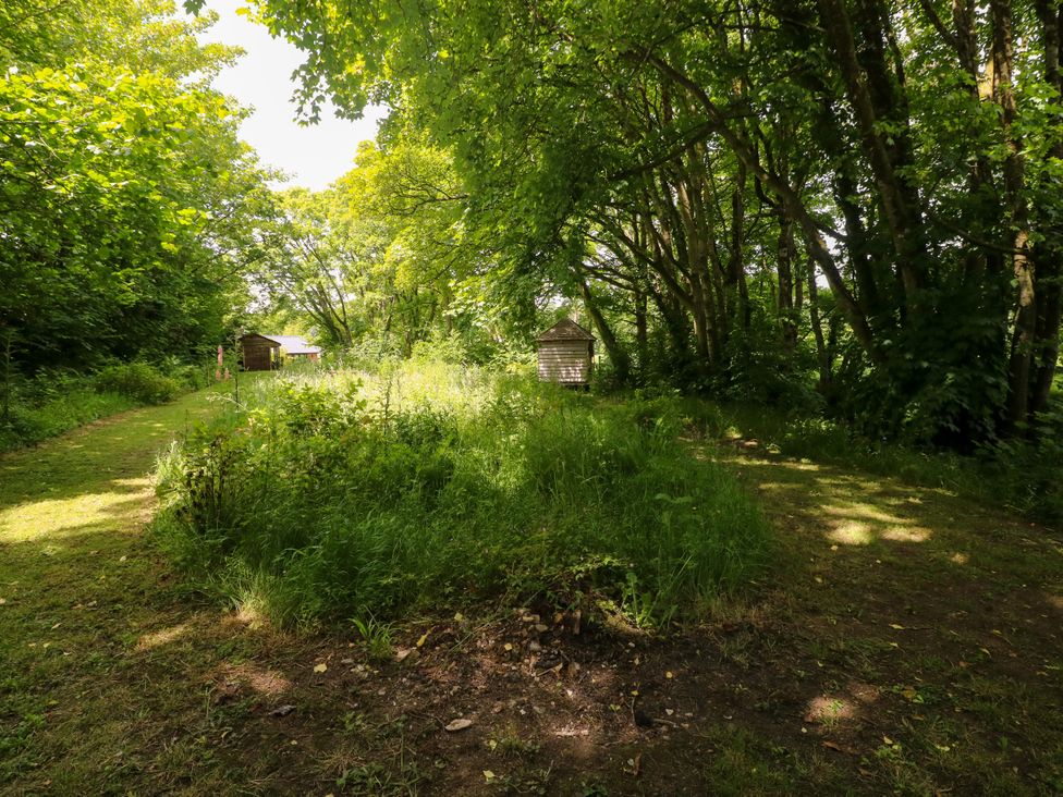 A pathway leading through trees with a shed in a wooded area at Glas y Dorlan Nevern near Newport, Pembrokeshire