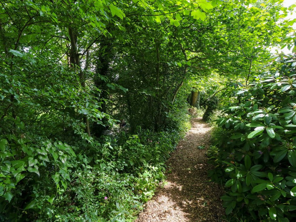 A path surrounded by trees and bushes at Glas y Dorlan Nevern near Newport, Pembrokeshire