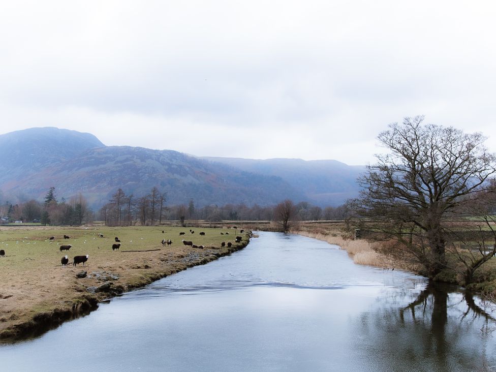A river with cattle and trees in a field at Grey Walls in Glenridding