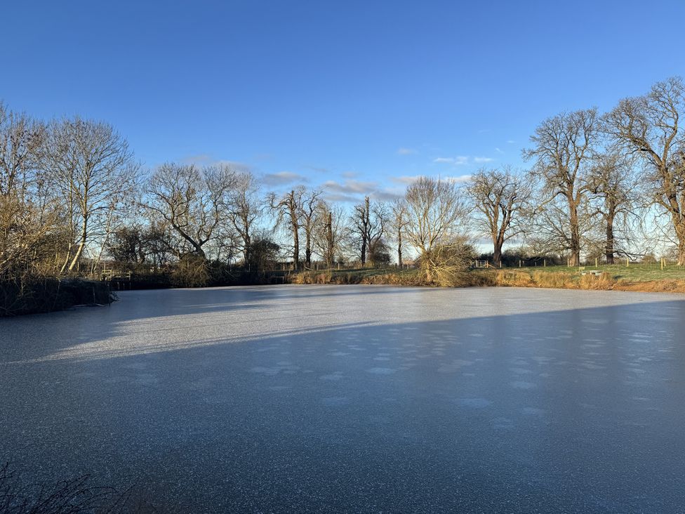 A frozen pond surrounded by trees and grass at Number 2 The Barn House Woodham