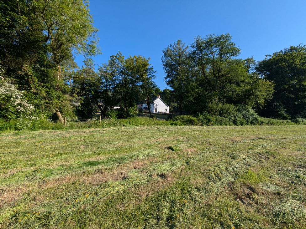 A house surrounded by trees and grass at Glanduad Fawr in Newport, Pembrokeshire