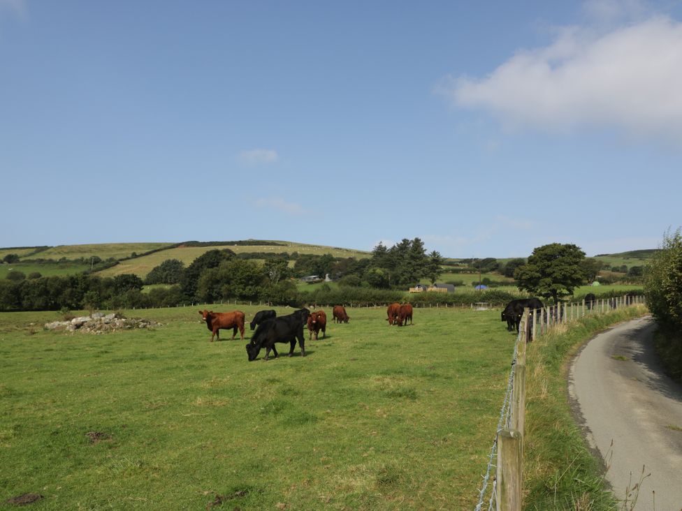 Tarrenhendre Pod - North Wales - 1144866 - thumbnail photo 18