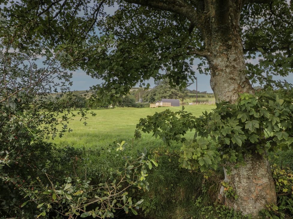 Tarrenhendre Pod - North Wales - 1144866 - thumbnail photo 19