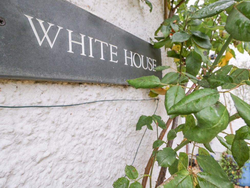 A sign reading 'WHITE HOUSE' on a wall with a plant at White House 