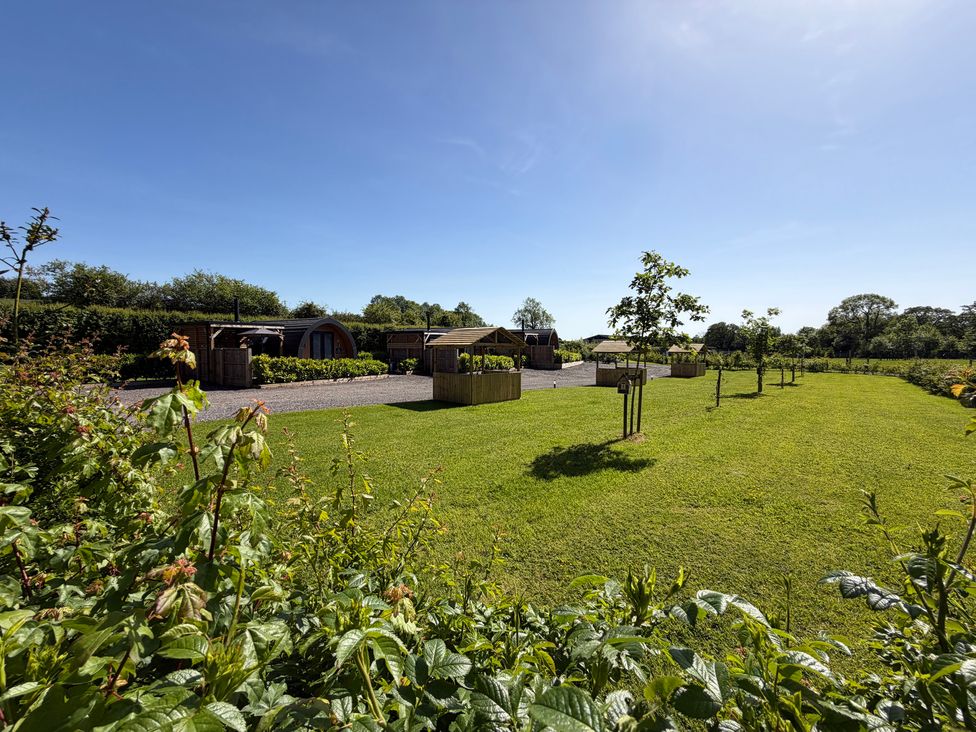 An outdoor space with grass and wooden structures at Yes Deer in Ashbourne