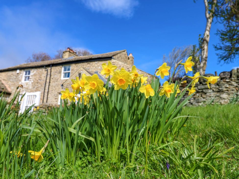 Swinhope View - Northumberland - 1145053 - thumbnail photo 21