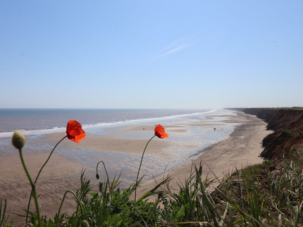 A beach with poppy flowers in the foreground at Gannet in Flamborough