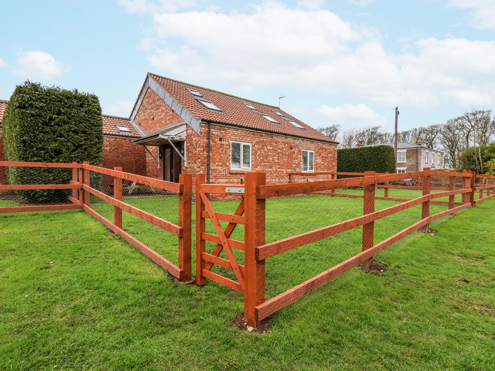 Razorbill - North Yorkshire (incl. Whitby) - 1145152 - thumbnail photo 17