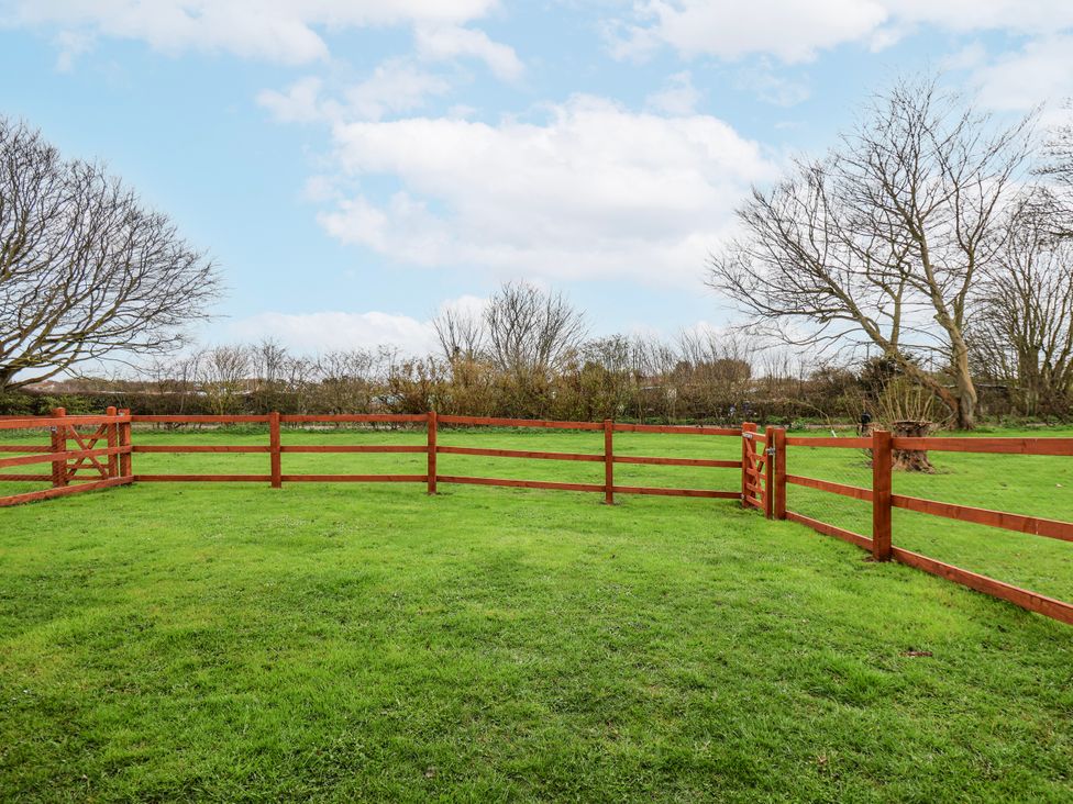 Razorbill - North Yorkshire (incl. Whitby) - 1145152 - thumbnail photo 24