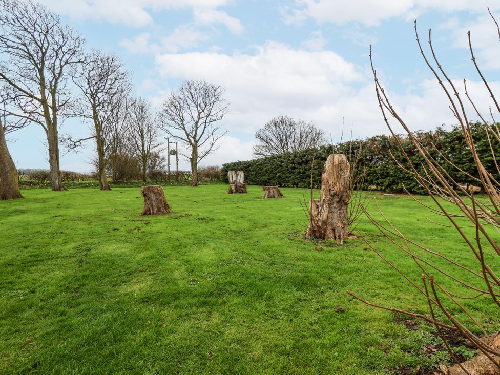 An outdoor area with tree stumps and grass at Razorbill in Flamborough