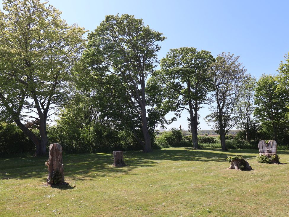 A grassy area with tree stumps and green trees under a clear sky at Guillemot in Flamborough