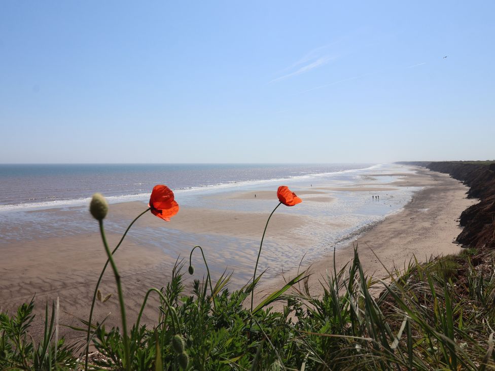 A sandy beach with red flowers and cliffs in the foreground at Guillemot in Flamborough