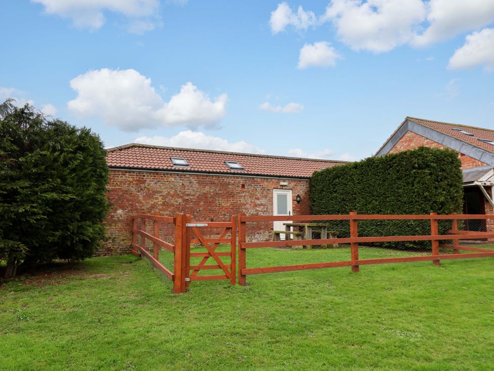 Guillemot - North Yorkshire (incl. Whitby) - 1145153 - thumbnail photo 19