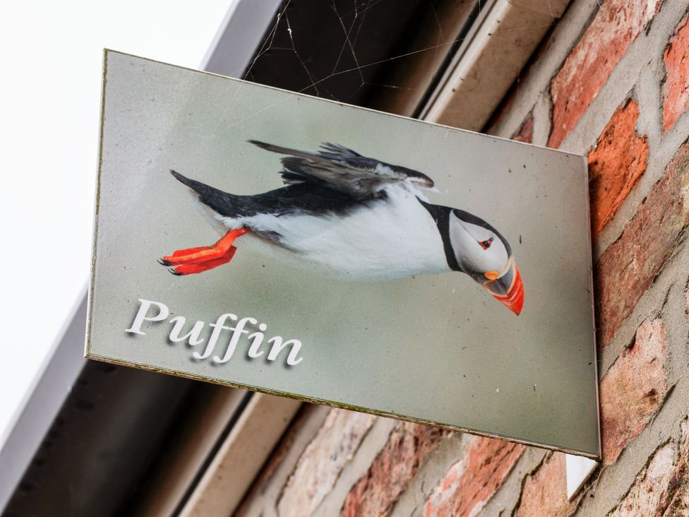 Puffin - North Yorkshire (incl. Whitby) - 1145154 - thumbnail photo 26