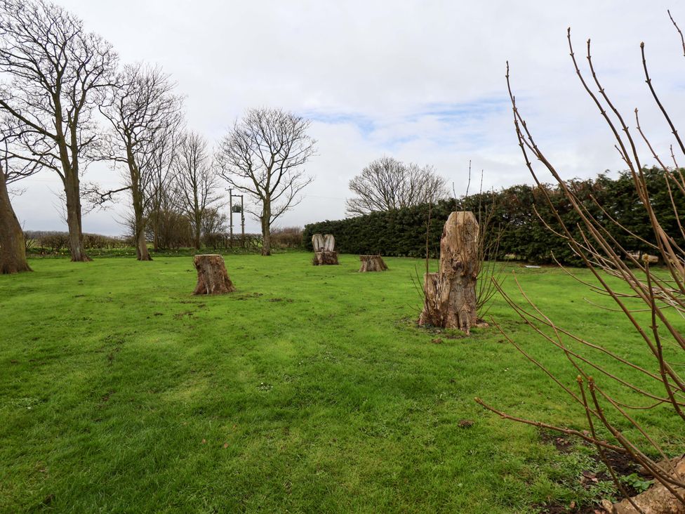 A garden with tree stumps and grass at Puffin in Flamborough