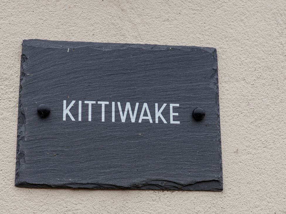Kittiwake - North Yorkshire (incl. Whitby) - 1145158 - thumbnail photo 3