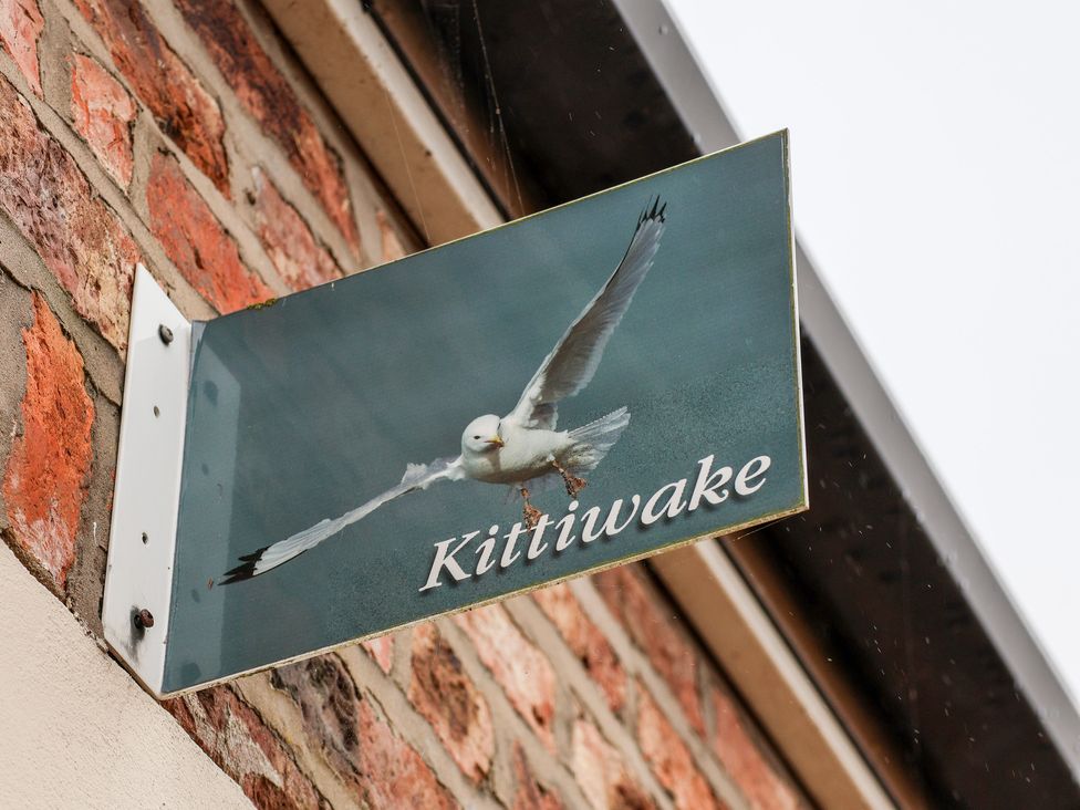 Kittiwake - North Yorkshire (incl. Whitby) - 1145158 - thumbnail photo 24